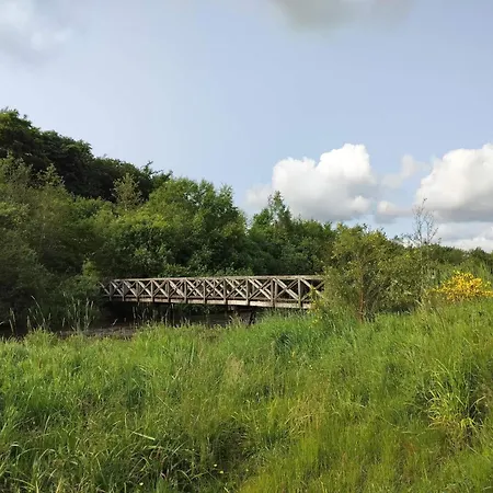Tranquil Near Kvie Lake-by Traum